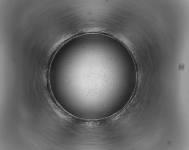 X0000091950345200709201327