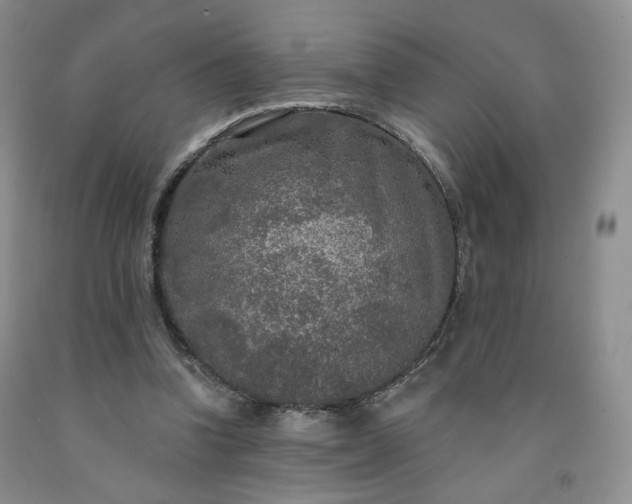 X0000091950346200709201327