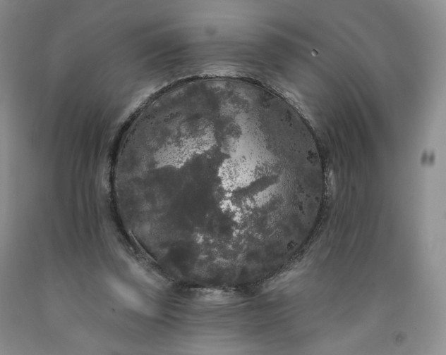 X0000091950347200709201327