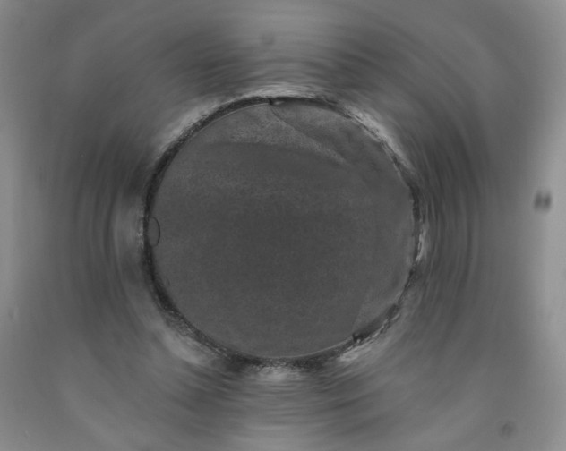 X0000091950348200709201327