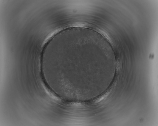 X0000091950349200709201327