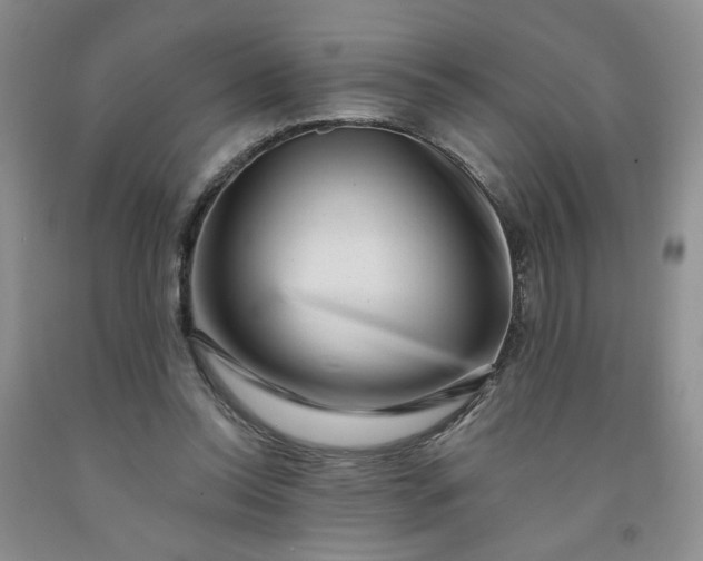 X0000091950350200709201327