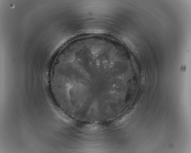 X0000091950351200709201327