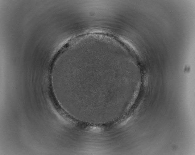 X0000091950352200709201327