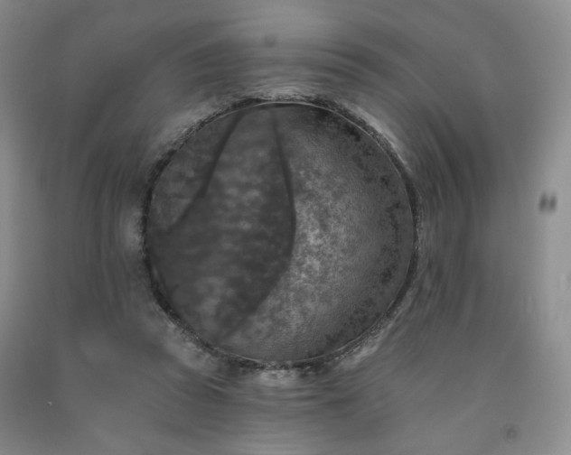 X0000091950353200709201327