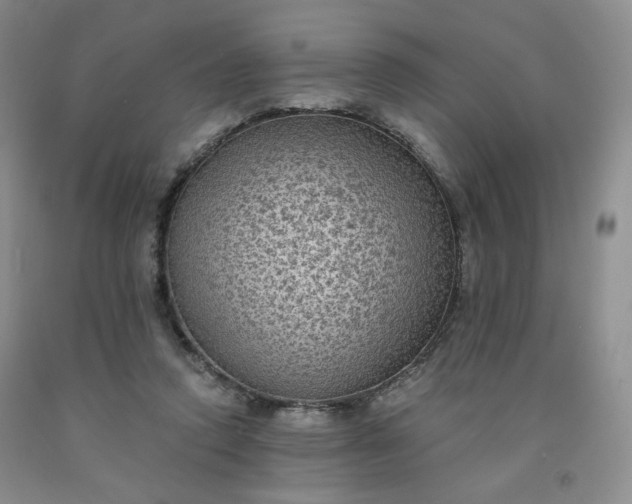 X0000091950354200709201327