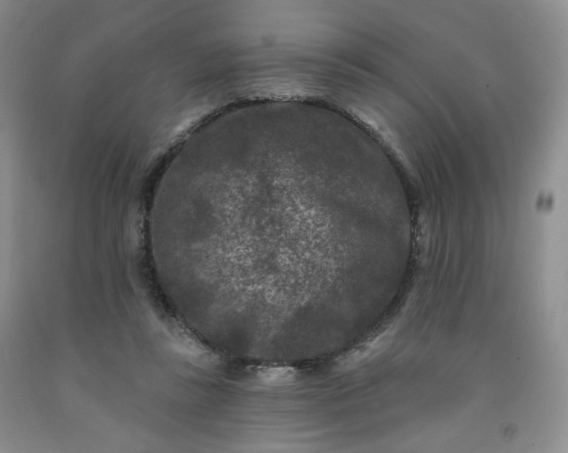 X0000091950355200709201327