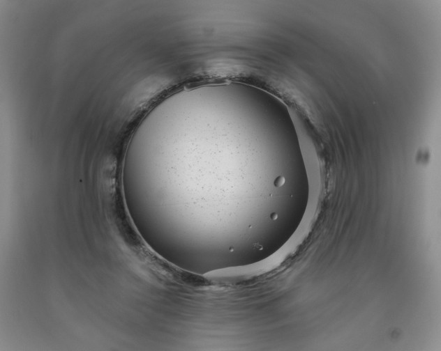 X0000091950356200709201327