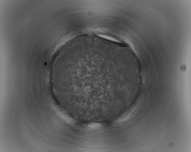 X0000091950357200709201327