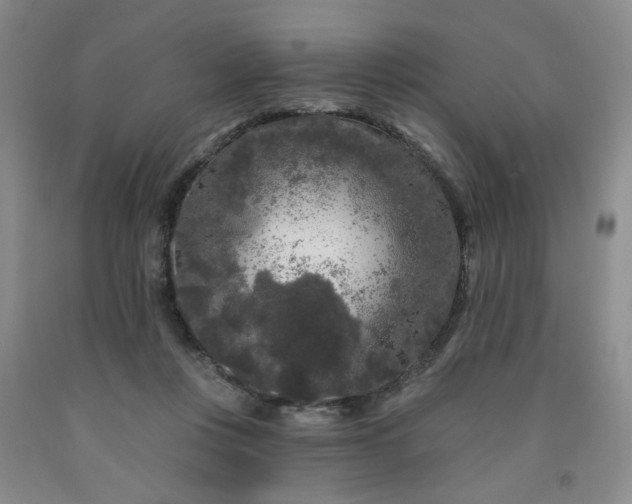 X0000091950359200709201327