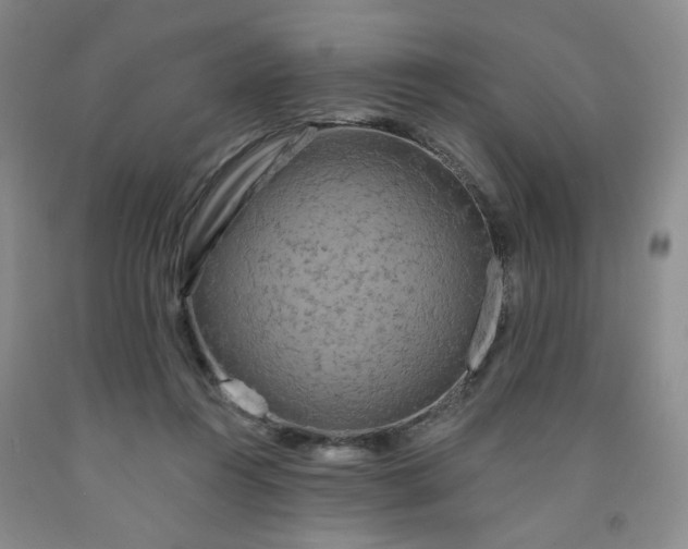 X0000091950360200709201327