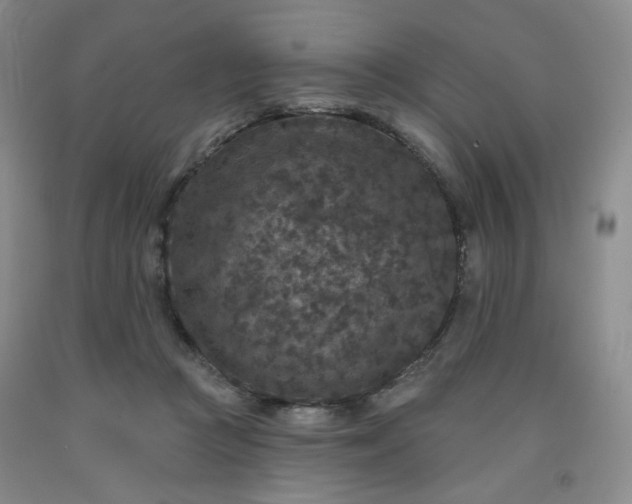 X0000091950361200709201327