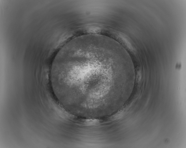 X0000091950363200709201327