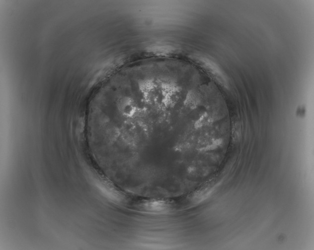 X0000091950365200709201327