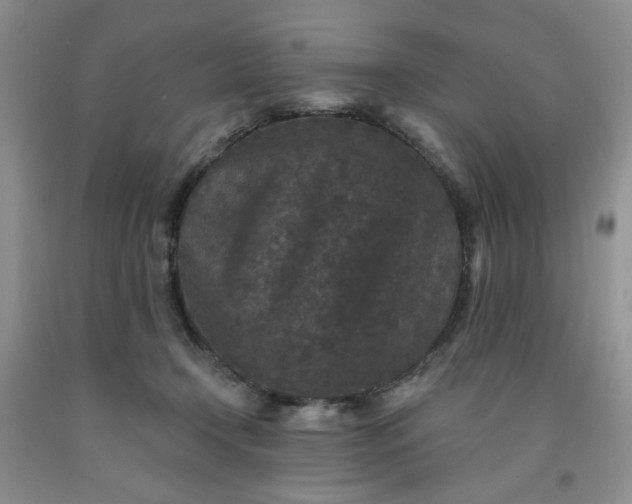 X0000091950366200709201327