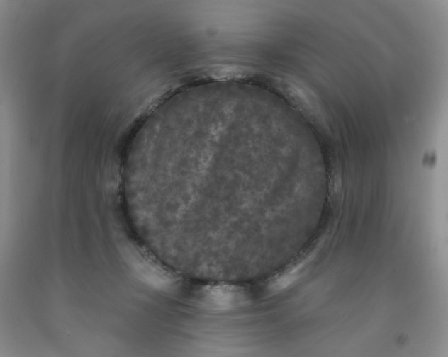 X0000091950367200709201327