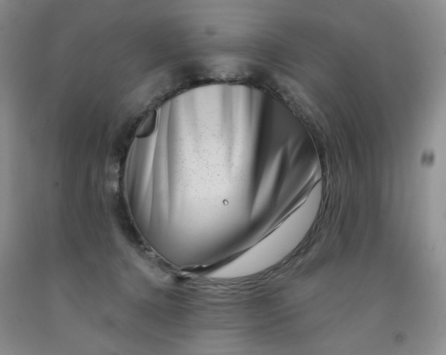 X0000091950368200709201327