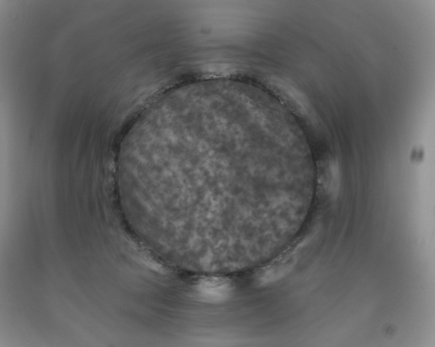 X0000091950369200709201327