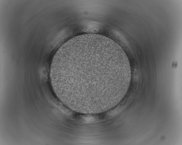 X0000091950370200709201327