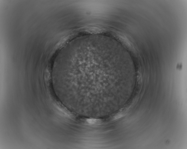 X0000091950371200709201327