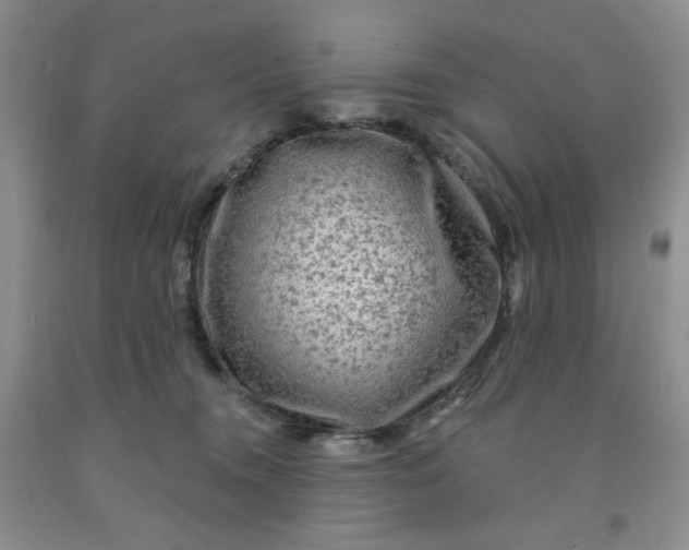 X0000091950372200709201327