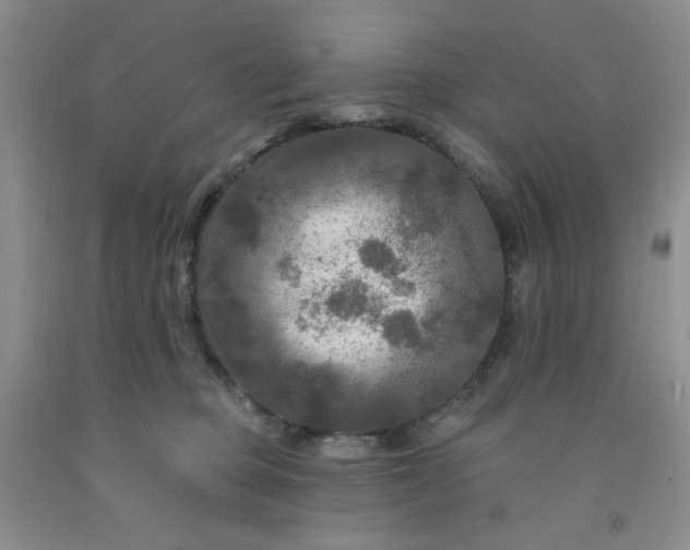 X0000091950373200709201327