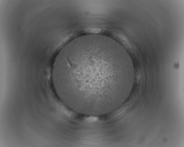 X0000091950374200709201327