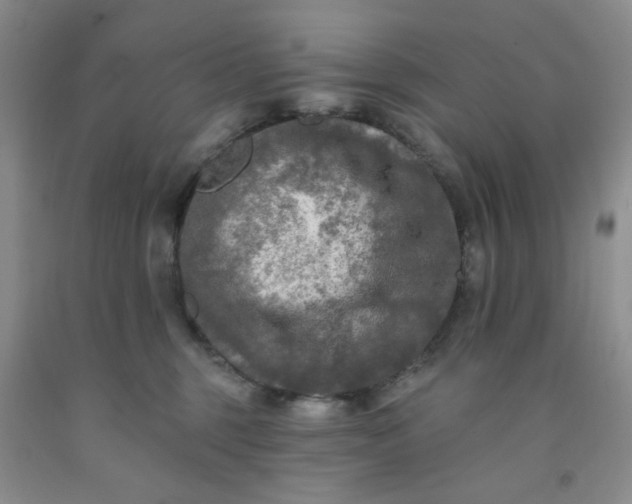 X0000091950375200709201327