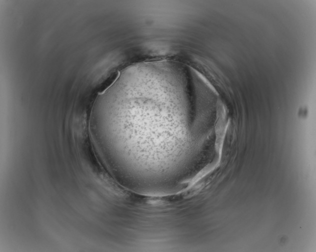 X0000091950376200709201327