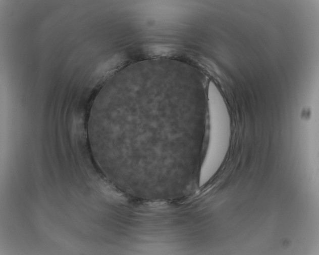 X0000091950377200709201327