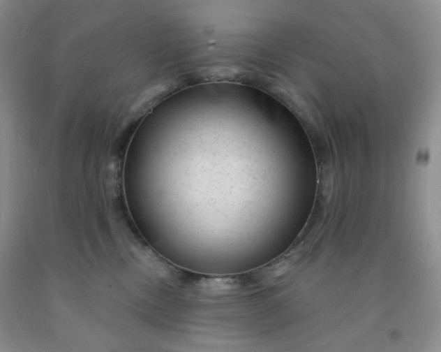 X0000091950378200709201327