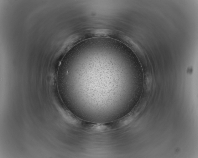 X0000091950379200709201327