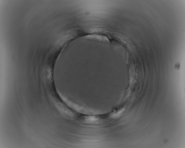 X0000091950380200709201327