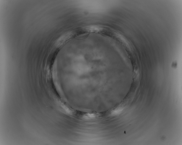 X0000091950381200709201327