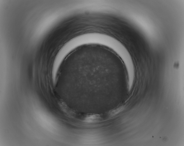 X0000091950382200709201327