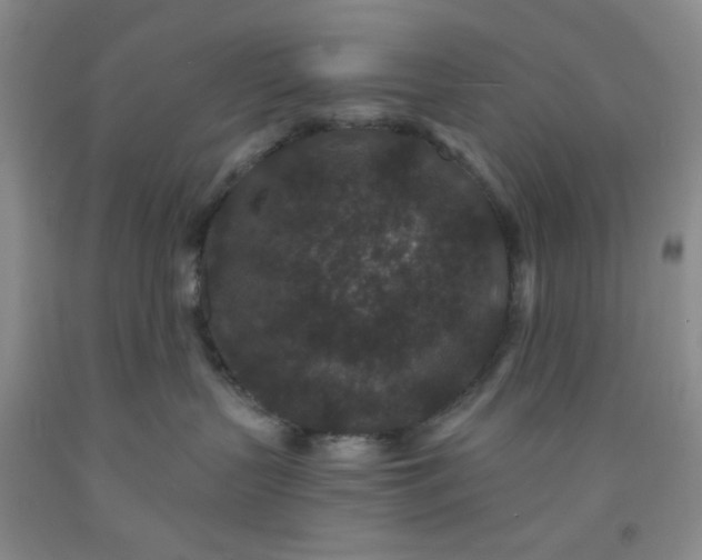 X0000091950383200709201327