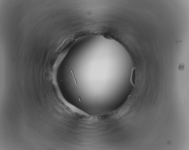 X0000091950384200709201327