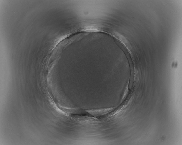 X0000091950385200709201327