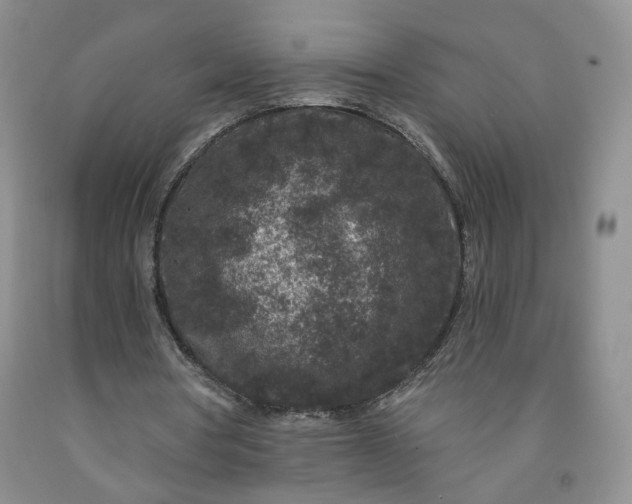 X0000091950386200709201327