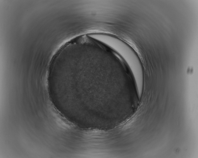 X0000091950387200709201327