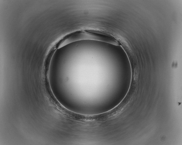 X0000091950388200709201327