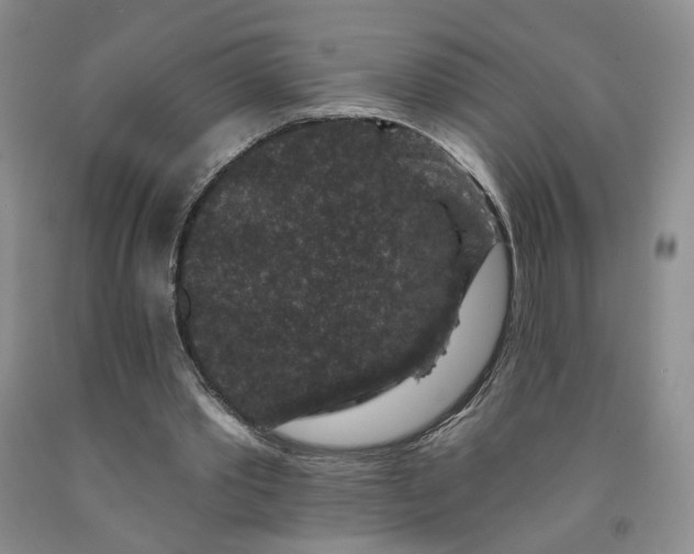 X0000091950389200709201327