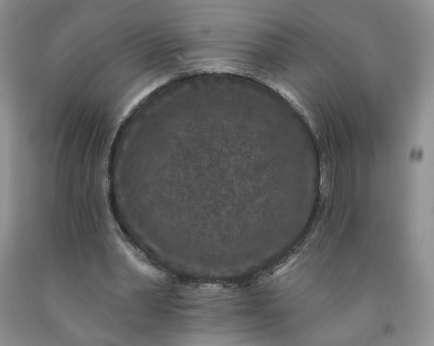 X0000091950390200709201327