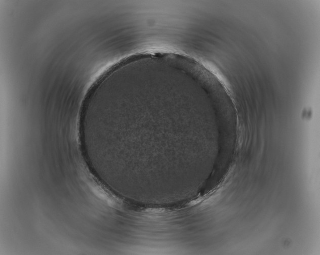 X0000091950391200709201327