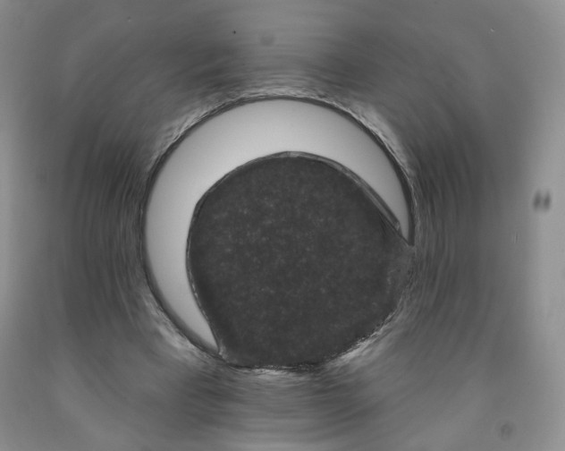 X0000091950393200709201327