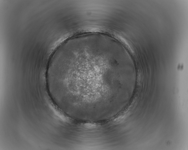 X0000091950394200709201327