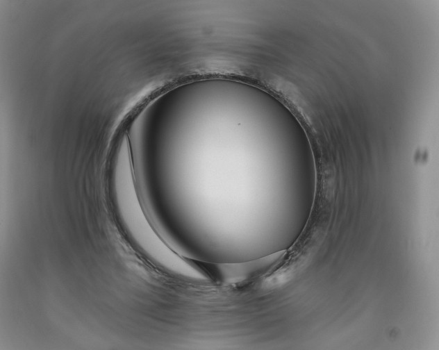 X0000091950395200709201327