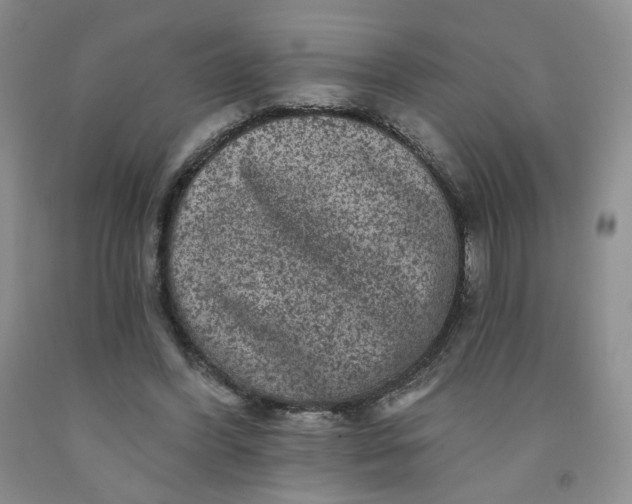 X0000091950396200709201327