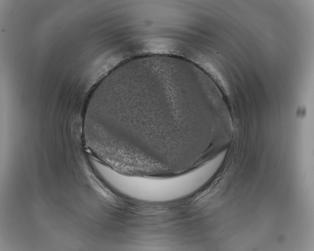 X0000091950397200709201327