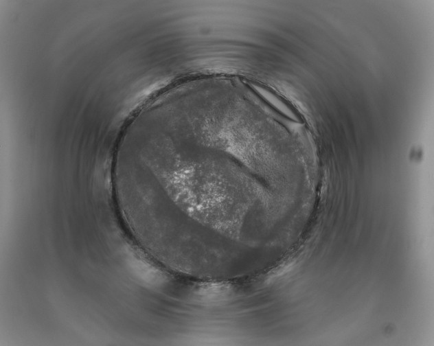 X0000091950398200709201327